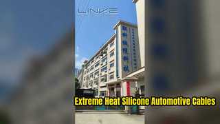 Εργοστασιακή Εισαγωγή της Dongguan Lianke Cable Technology Co., Ltd.